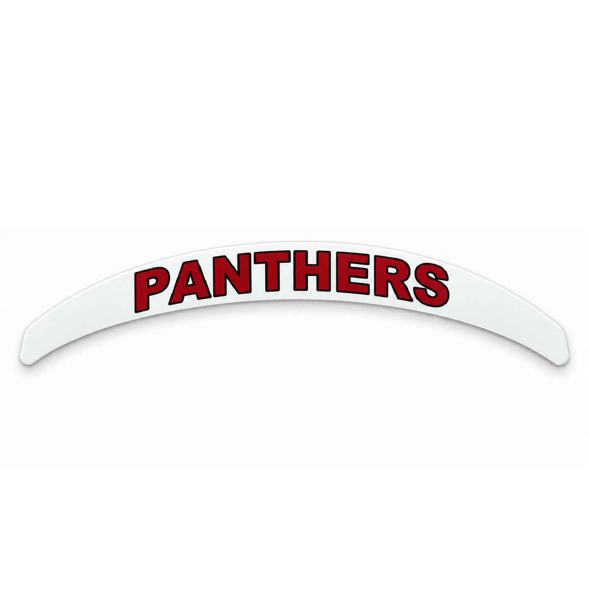 カスタマイズバックバンパー　立命館大学　PANTHERS