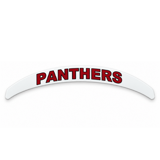 カスタマイズバックバンパー　立命館大学　PANTHERS